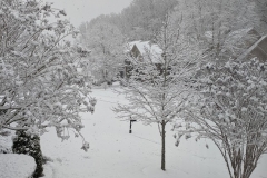 Snow-in-the-neighborhood4522